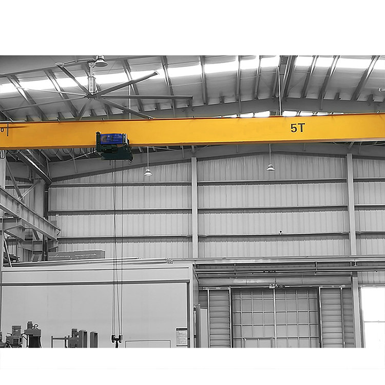 Customized 3ton 5ton 10ton European Type Lightweight Single Girder Electric Overhead Travelling Crane